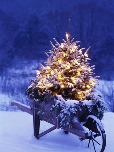 Albero Di Natale 2020 Trackidsp 006.20 Decorazioni Esterne Per Natale Lasciatevi Ispirare