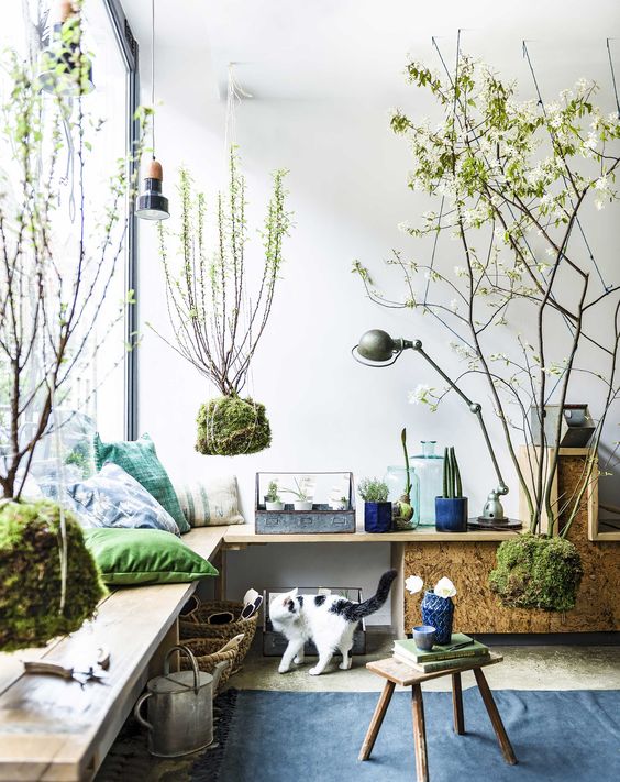 Decorazioni green originali per decorare casa! Ecco 20 idee per ispirarvi