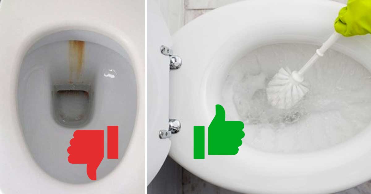 Come sbiancare il WC ingiallito! Ecco 4 soluzioni fai da te