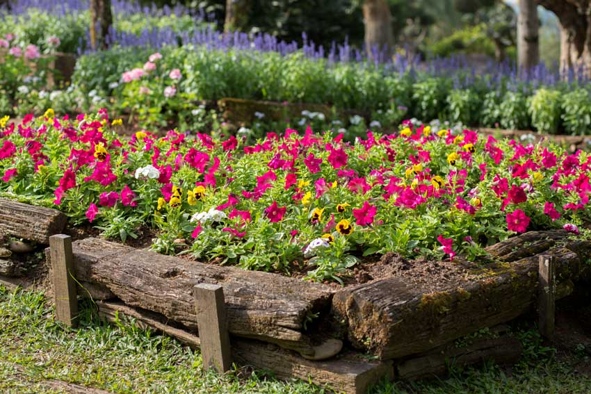 Bordure Per Aiuole In Legno.20 Bordure Per Aiuole Da Copiare Per Un Giardino Magnifico