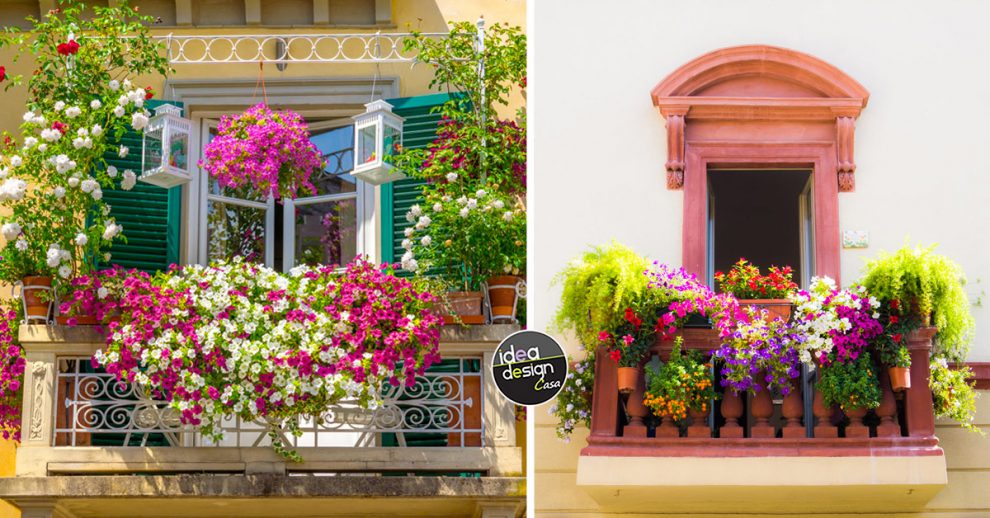 Composizioni Floreali In Vaso Per Esterno.Un Bella Composizione Di Fiori Per Colorare Il Balcone 15 Idee