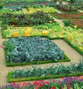 Come Realizzare Un Bellissimo Orto Giardino Fai Da Te